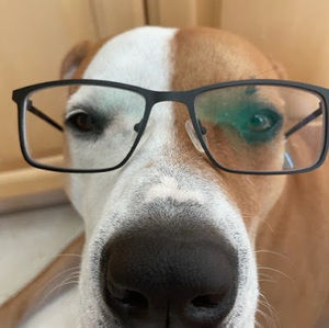 Meet your Posher, Madeincal